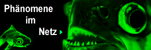 Unglaubliche Phänomene im Netz